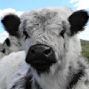 Meet your Posher, Lexi